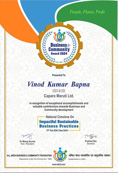 Company profile and achievements